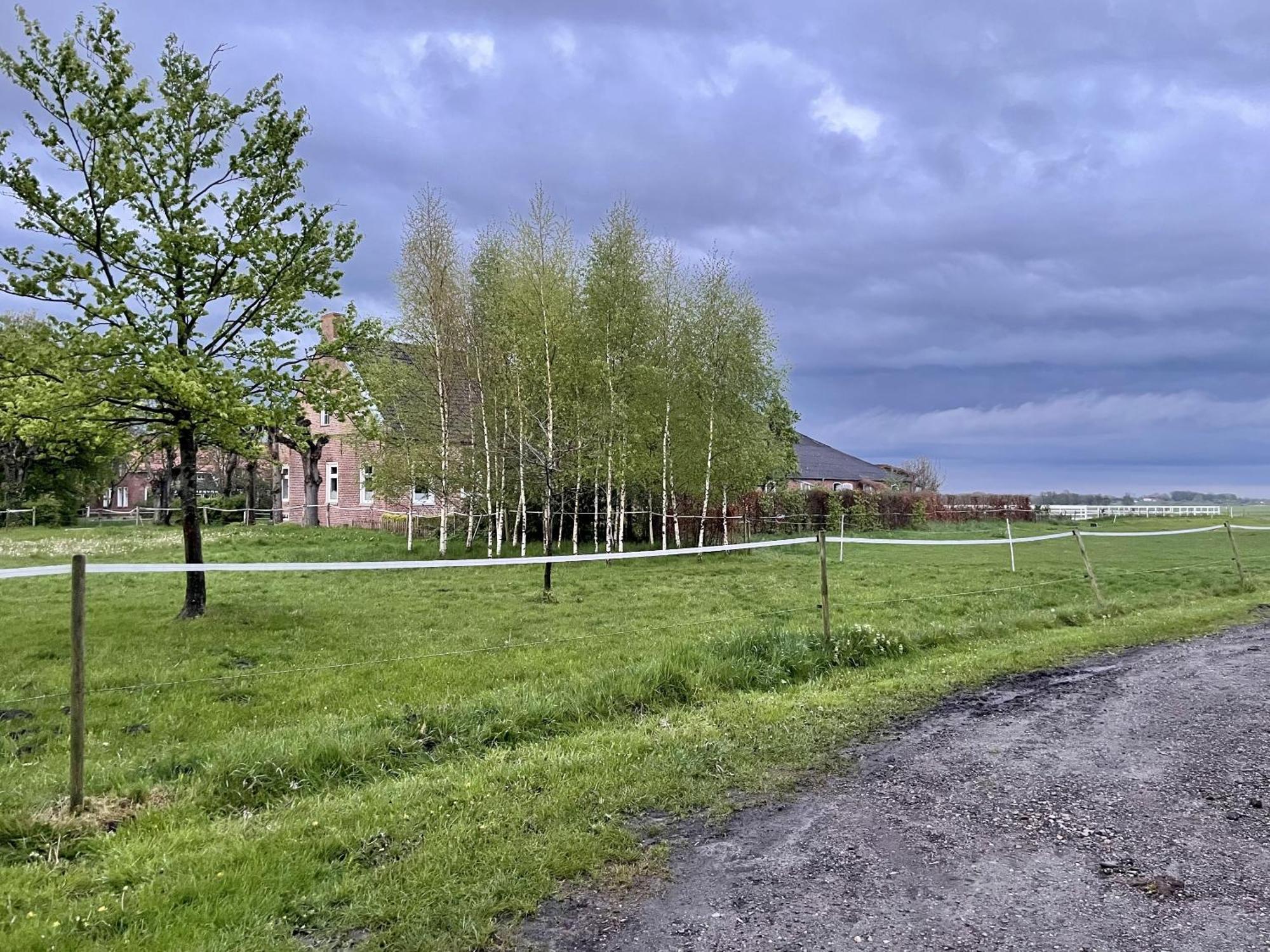 Steinhaus Hof Villa Bunde  ภายนอก รูปภาพ