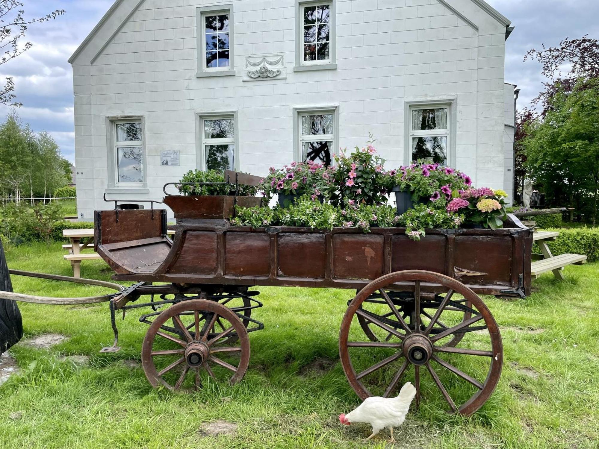 Steinhaus Hof Villa Bunde  ภายนอก รูปภาพ