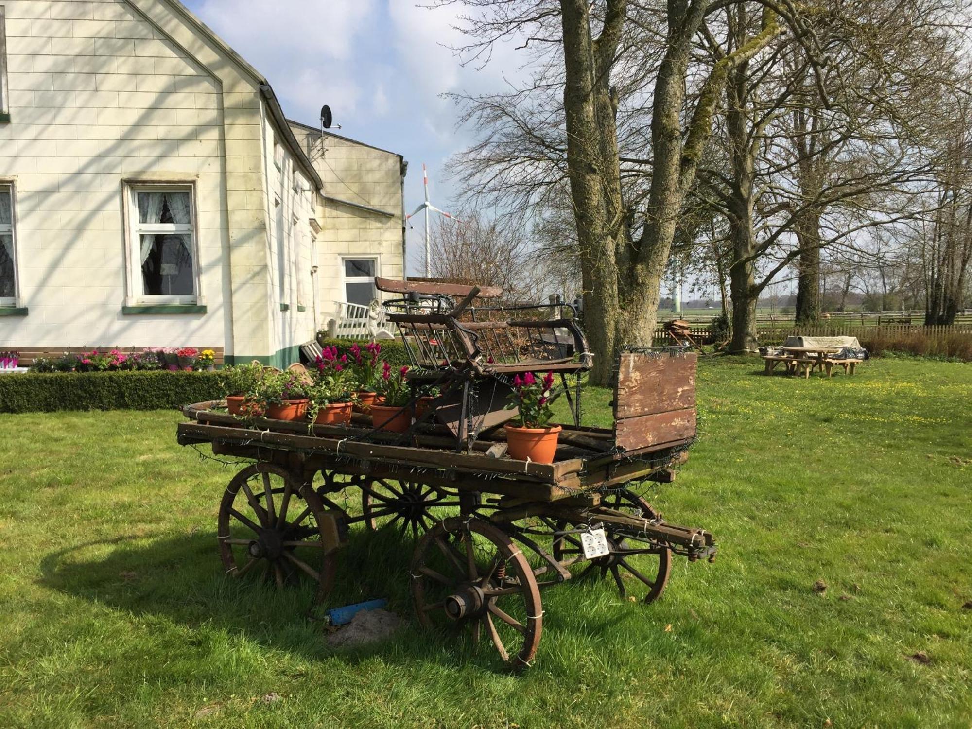 Steinhaus Hof Villa Bunde  ห้อง รูปภาพ